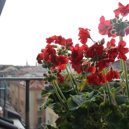 La Bagigia E La Ghianda * Turin